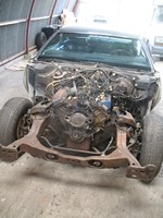 IMG_7866.JPG

2.780,49 KB 
2736 x 3648 
8-10-2012
